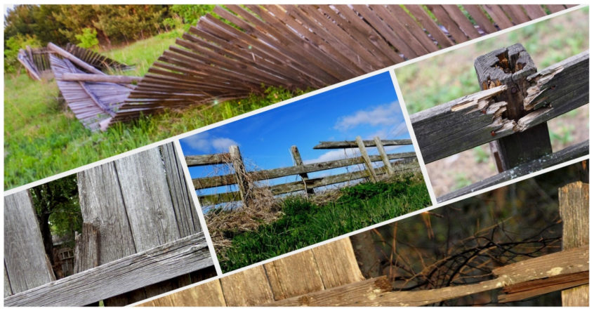 when is it time to replace an old fence