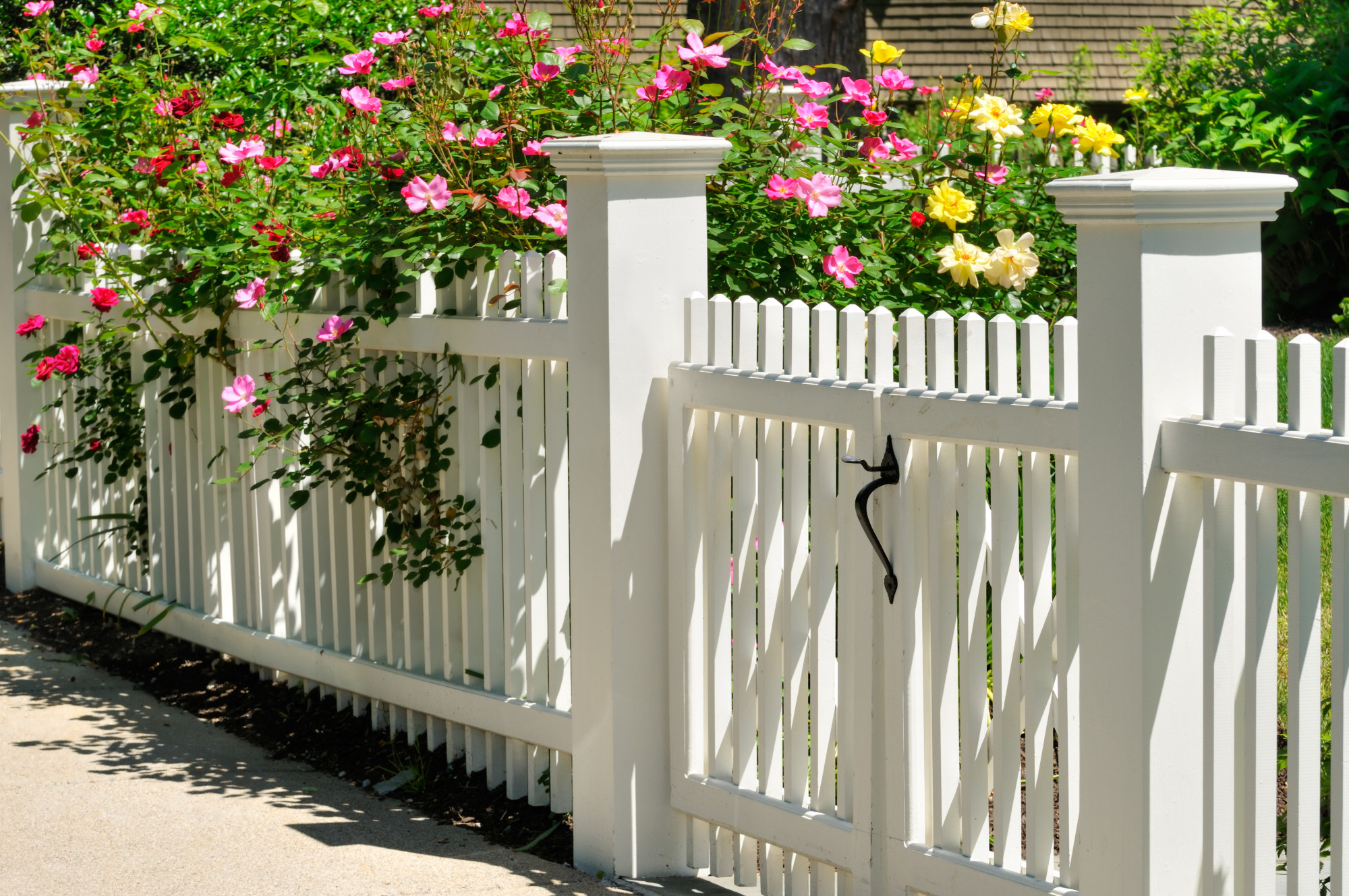 7-top-reasons-to-love-a-classic-picket-wood-fence